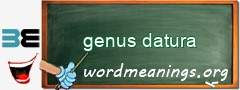 WordMeaning blackboard for genus datura